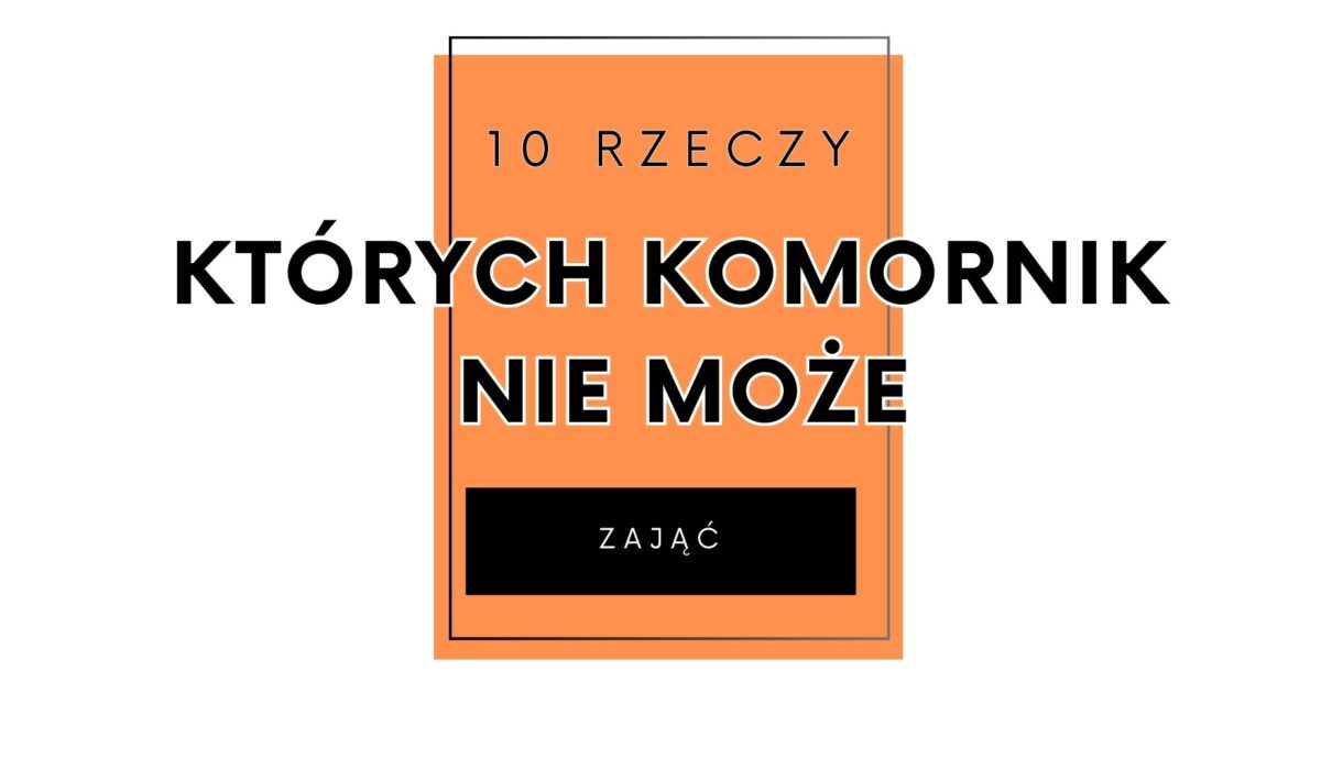 10 rzeczy, których komornik nie może zająć
