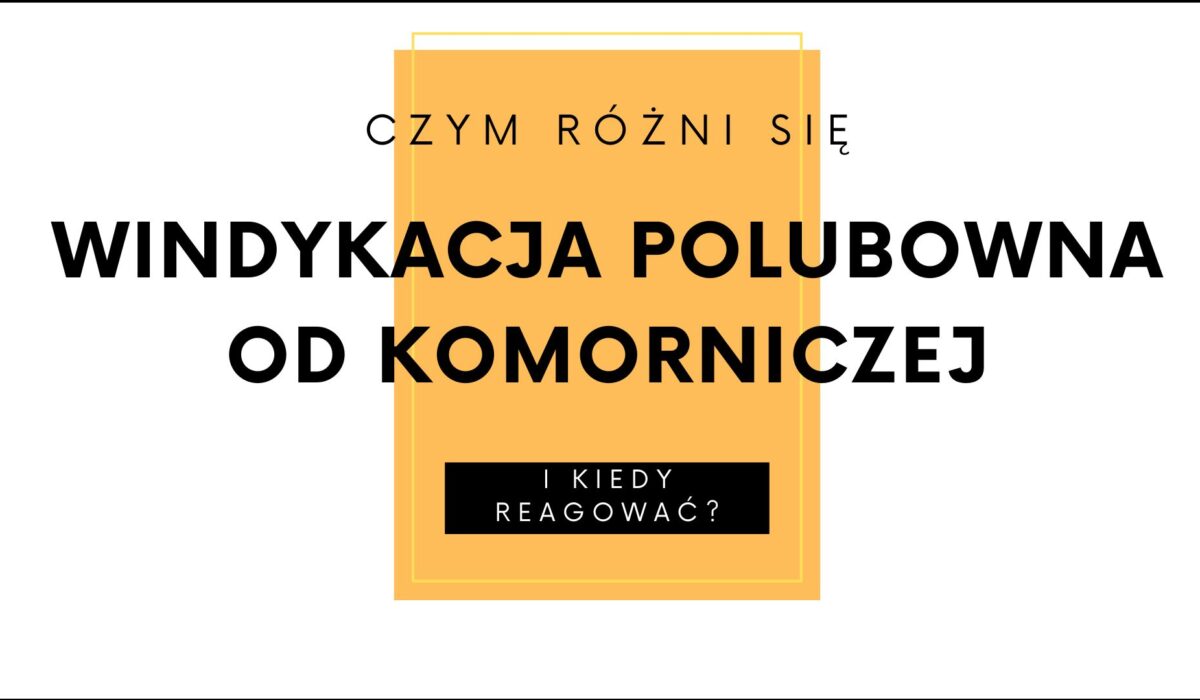 Windykacja czy komornik – czym się różnią?
